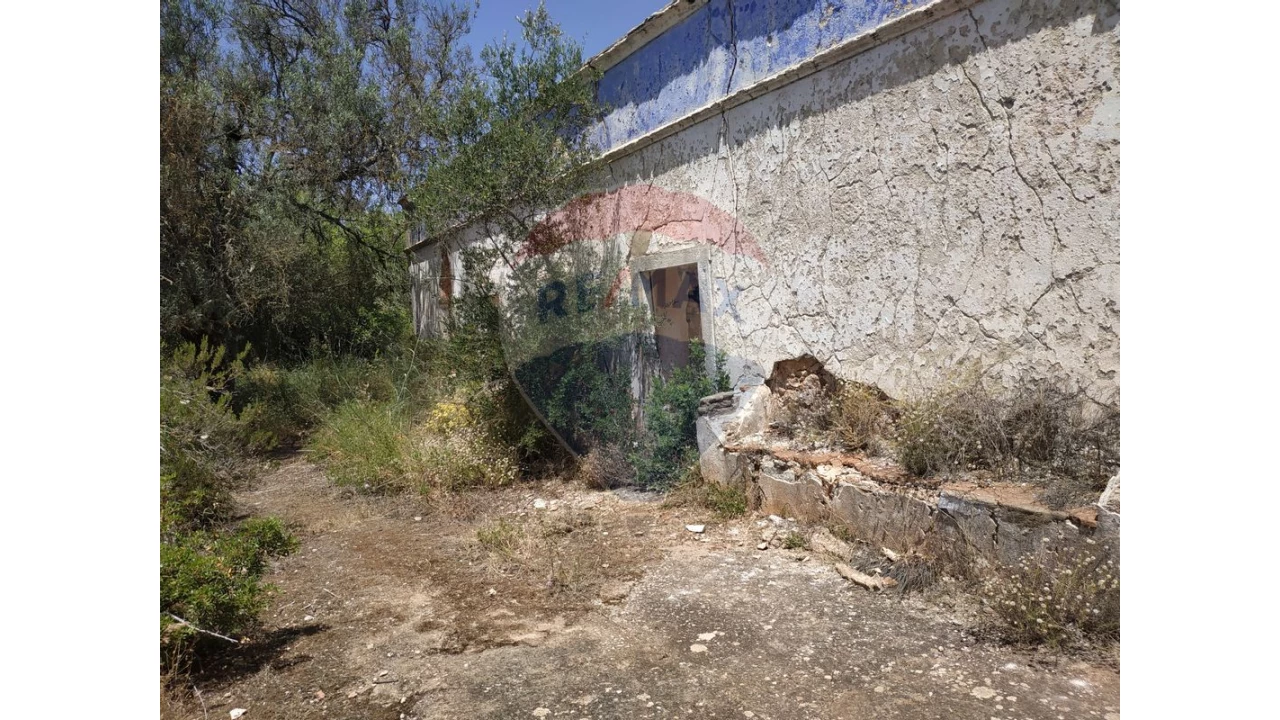 Terreno P/ Prédio para Venda em Loule (São Clemente) Foto 6