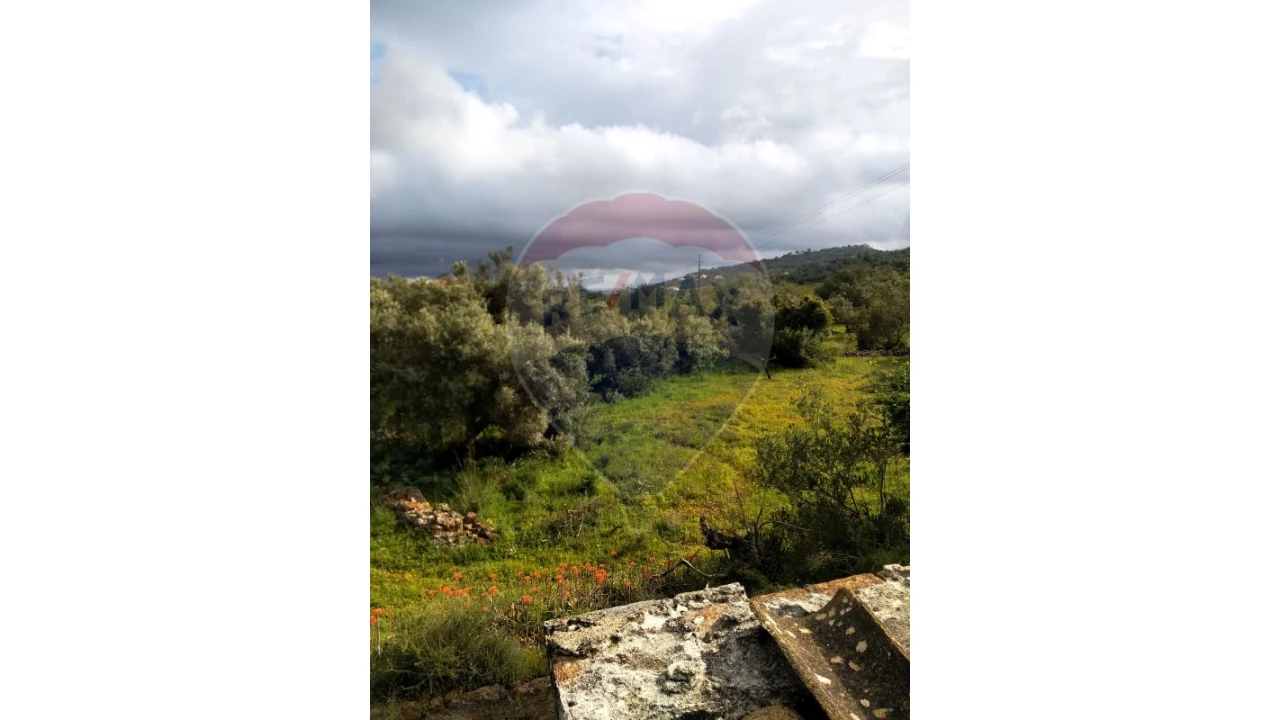 Terreno P/ Prédio para Venda em Loule (São Clemente) Foto 10
