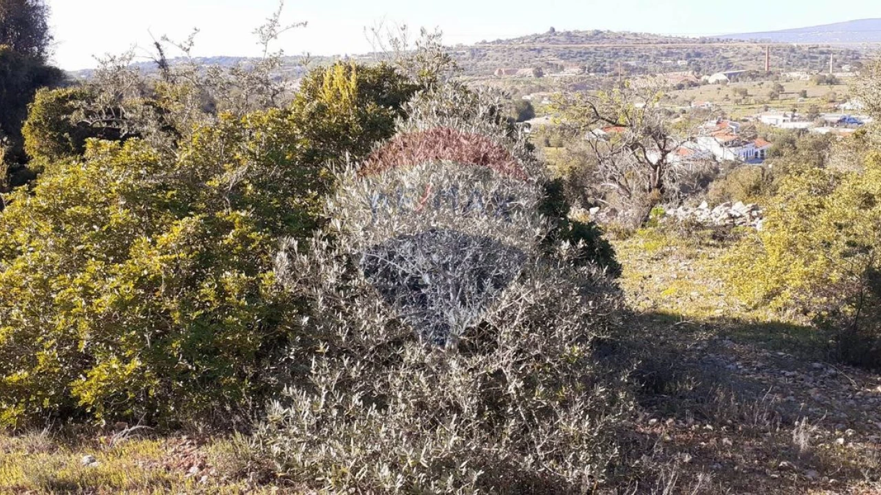 Terreno P/ Prédio para Venda em Paderne Foto 12
