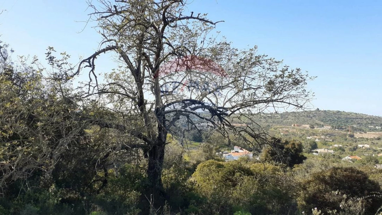 Terreno P/ Prédio para Venda em Paderne Foto 7