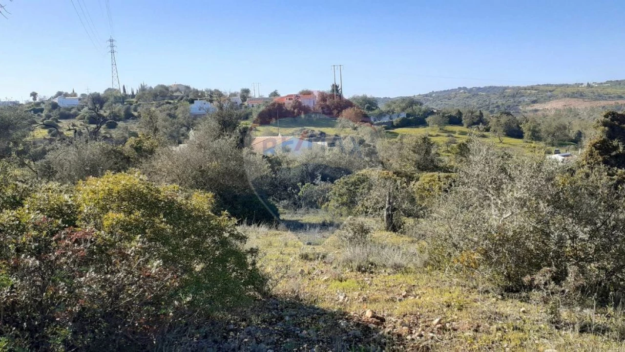 Terreno P/ Prédio para Venda em Paderne Foto 9