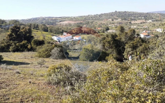 Terreno P/ Prédio para Venda em Paderne Foto 8