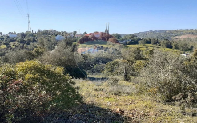 Terreno P/ Prédio para Venda em Paderne Foto 9