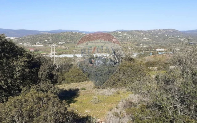 Terreno P/ Prédio para Venda em Paderne Foto 5