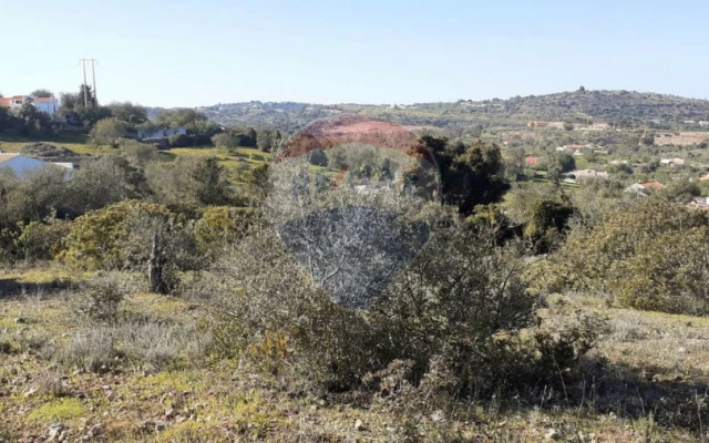 Terreno P/ Prédio para Venda em Paderne