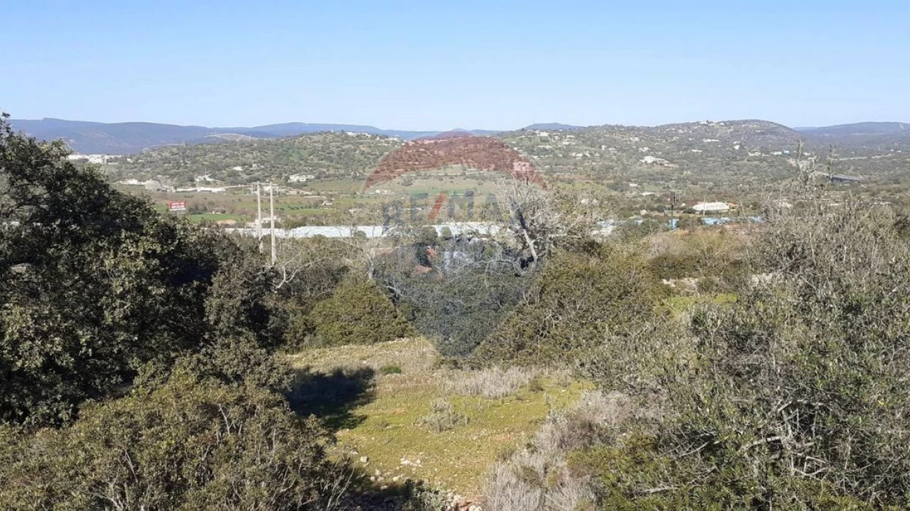 Terreno P/ Prédio para Venda em Paderne Foto 5