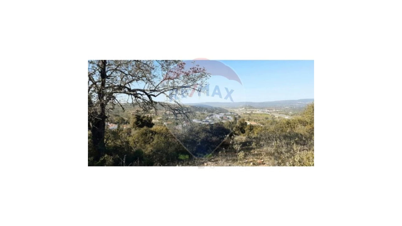 Terreno P/ Prédio para Venda em Paderne Foto 3