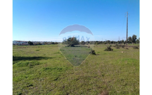 Terreno P/ Prédio para Venda em Algoz e Tunes Foto 7