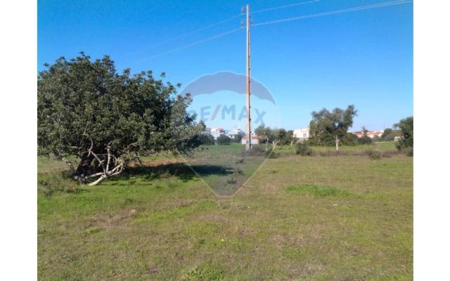 Terreno P/ Prédio para Venda em Algoz e Tunes Foto 10