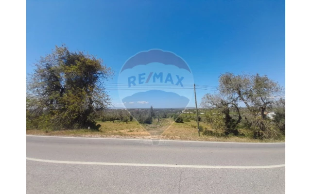 Terreno P/ Prédio para Venda em Algoz e Tunes Foto 5