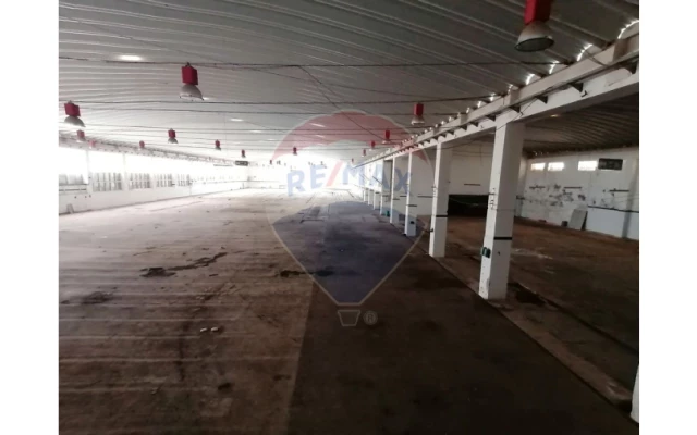 Negócio para Venda em Portimão Foto 31