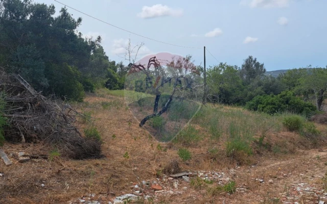 Moradia T2 para Venda em Loule (São Sebastião) Foto 2
