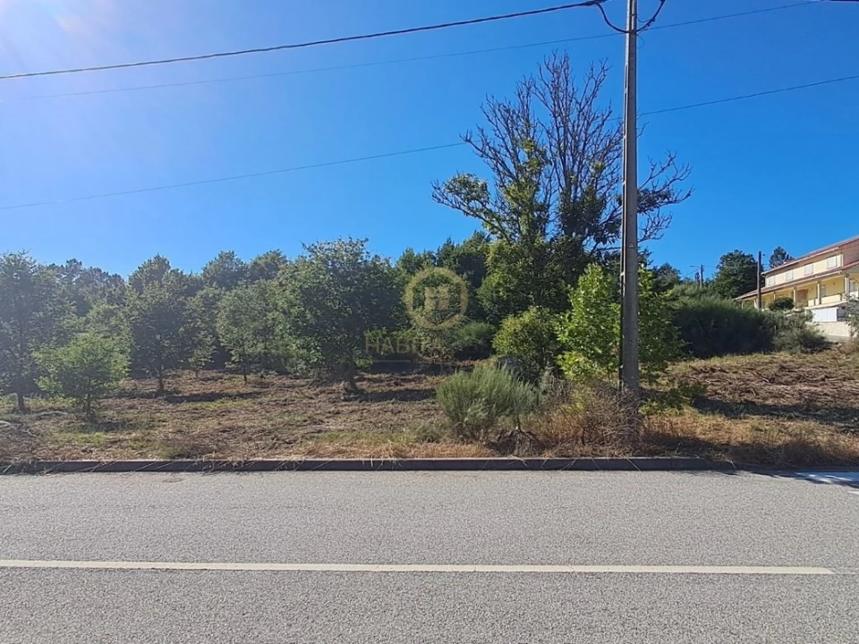 Terreno para Venda em Vila Nova de Paiva, Alhais e Fráguas Foto 1