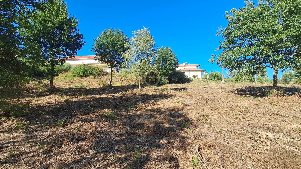 Terreno para Venda em Vila Nova de Paiva, Alhais e Fráguas Foto 21
