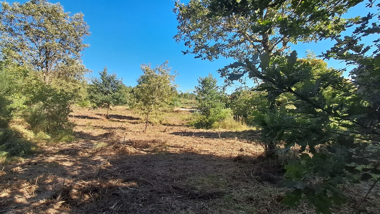 Terreno para Venda em Vila Nova de Paiva, Alhais e Fráguas Foto 23
