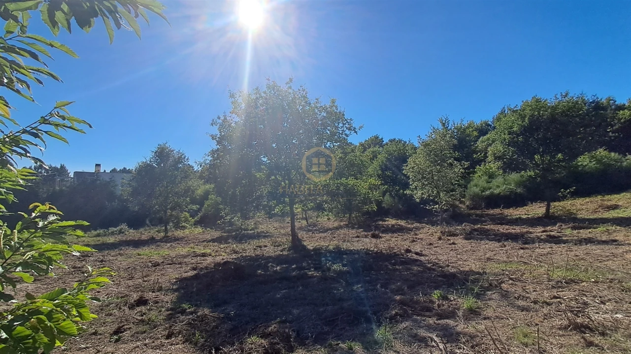 Terreno para Venda em Vila Nova de Paiva, Alhais e Fráguas Foto 7