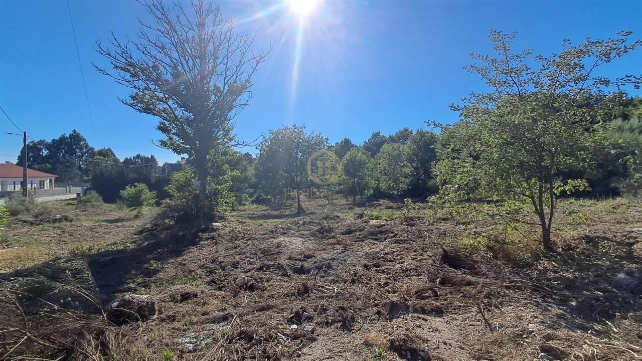 Terreno para Venda em Vila Nova de Paiva, Alhais e Fráguas Foto 9