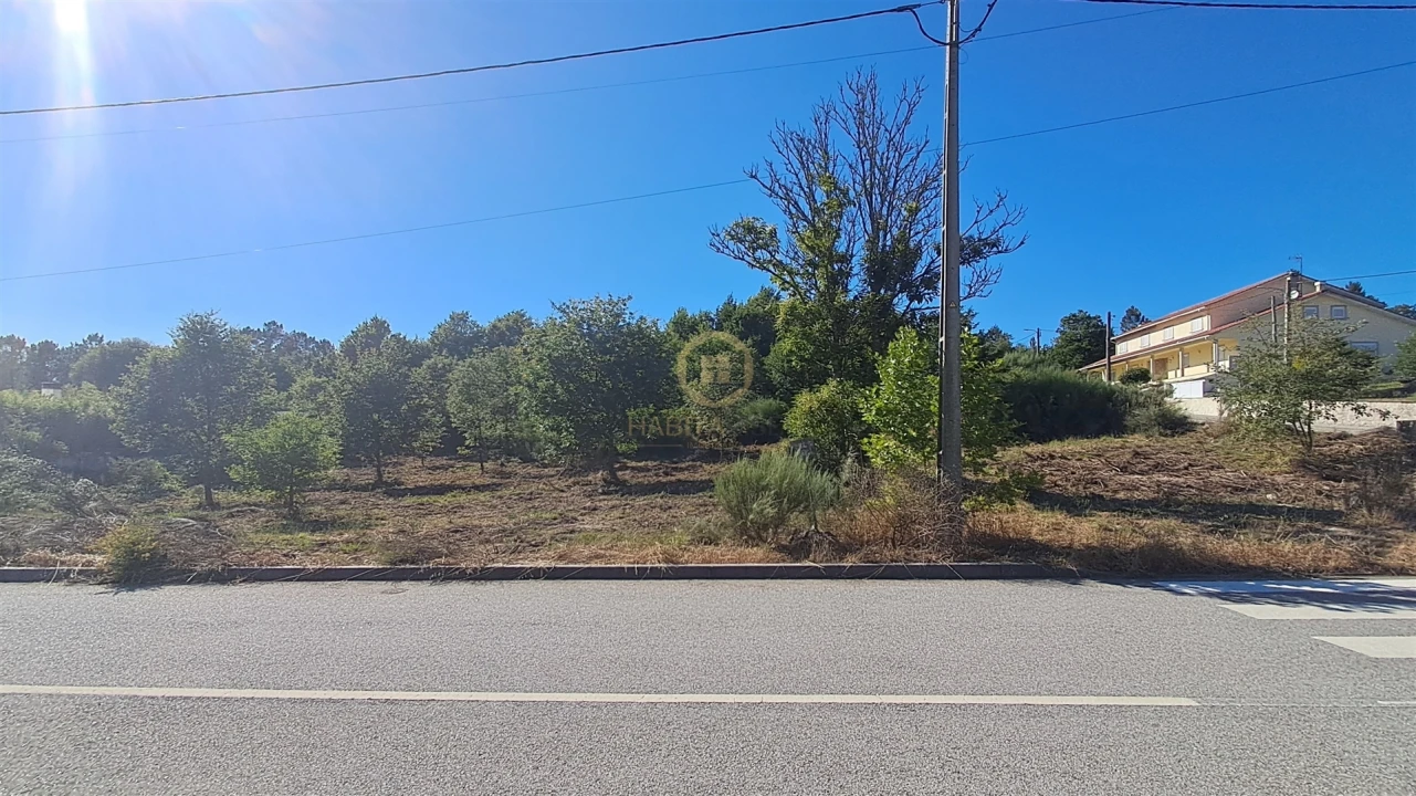 Terreno para Venda em Vila Nova de Paiva, Alhais e Fráguas Foto 4