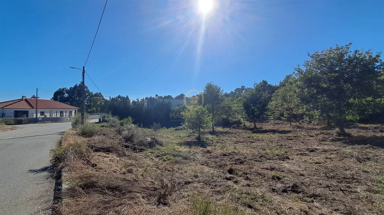 Terreno para Venda em Vila Nova de Paiva, Alhais e Fráguas Foto 24
