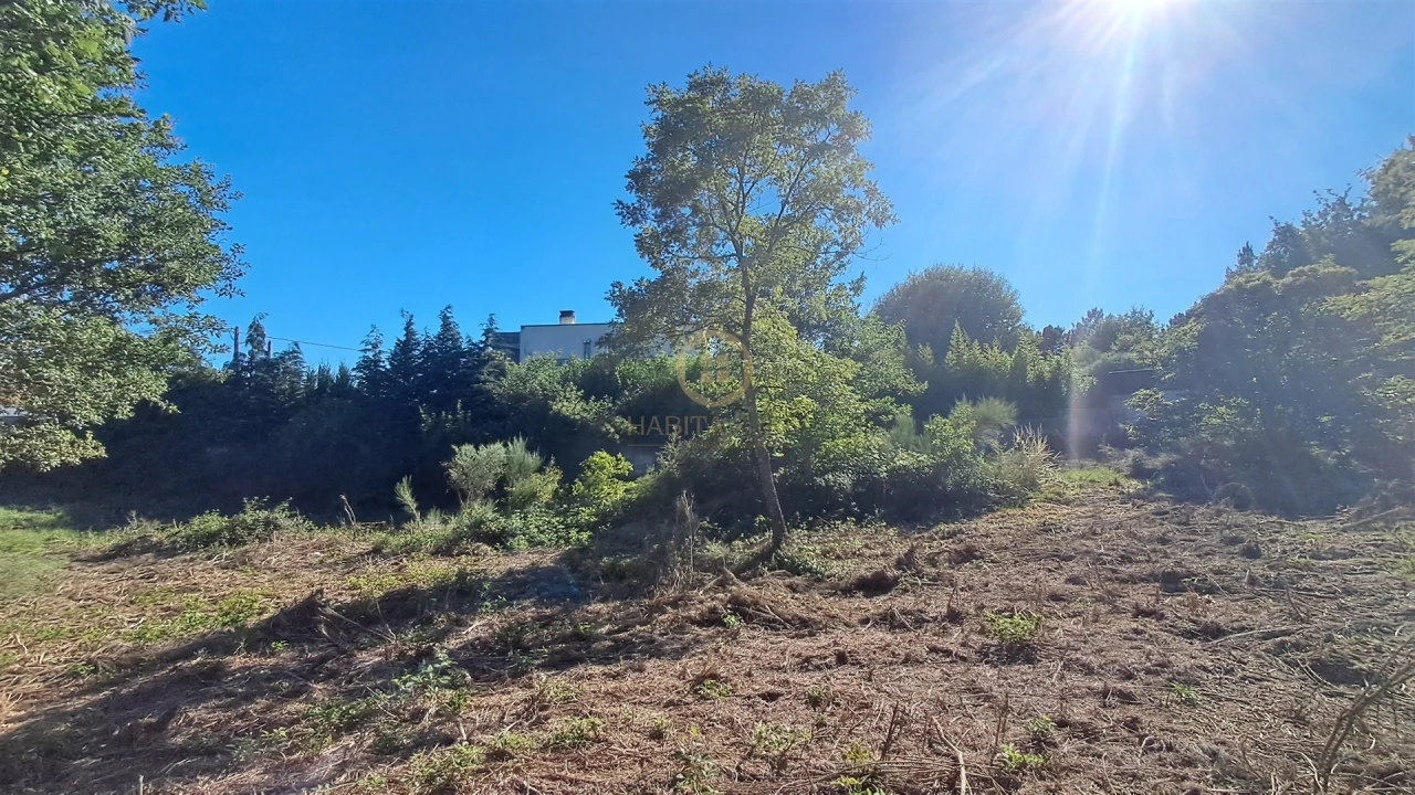 Terreno para Venda em Vila Nova de Paiva, Alhais e Fráguas Foto 26