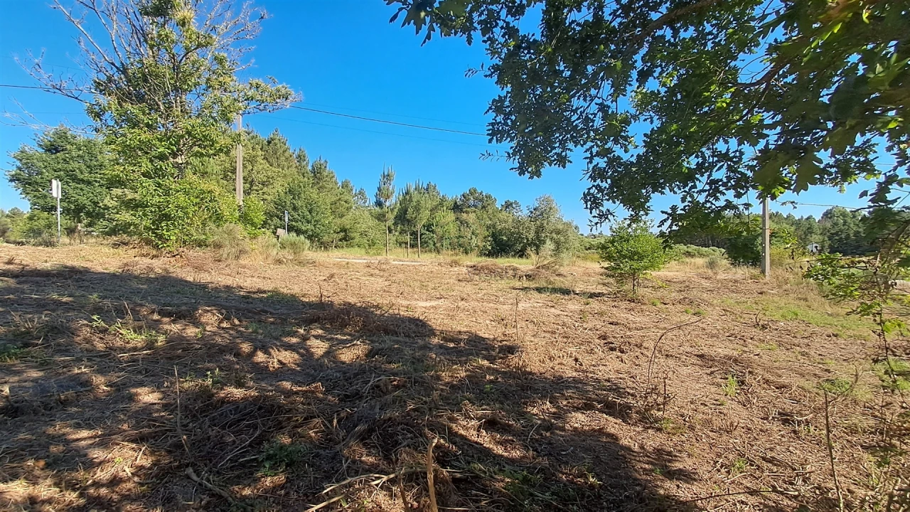 Terreno para Venda em Vila Nova de Paiva, Alhais e Fráguas Foto 15