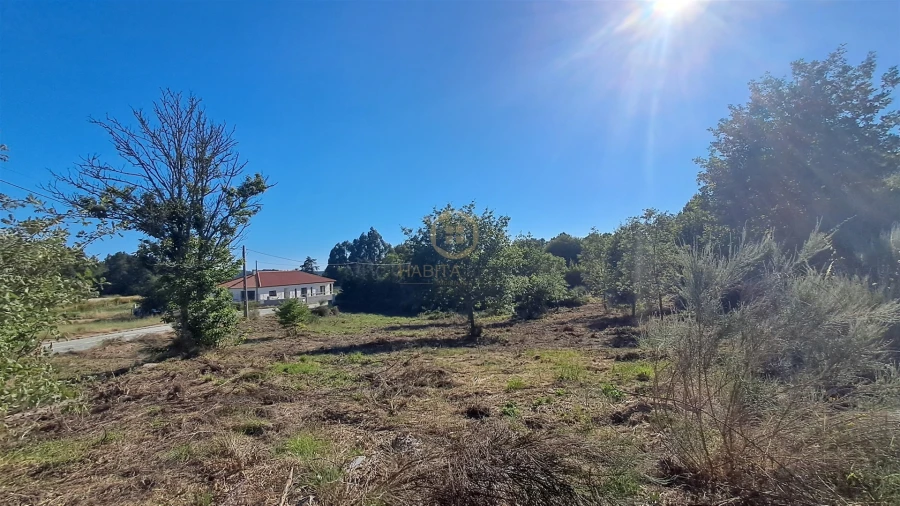 Terreno para Venda em Vila Nova de Paiva, Alhais e Fráguas Foto 19