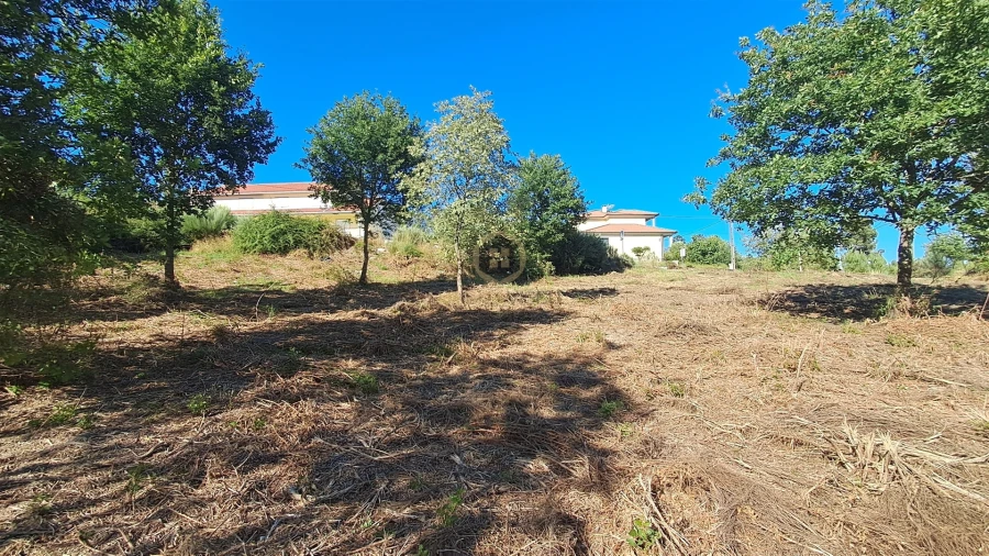 Terreno para Venda em Vila Nova de Paiva, Alhais e Fráguas Foto 21