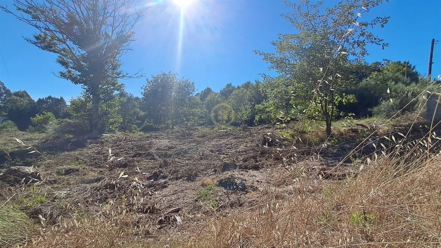 Terreno para Venda em Vila Nova de Paiva, Alhais e Fráguas Foto 27
