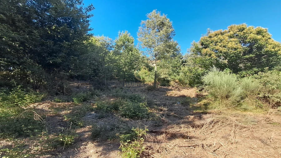 Terreno para Venda em Vila Nova de Paiva, Alhais e Fráguas Foto 22