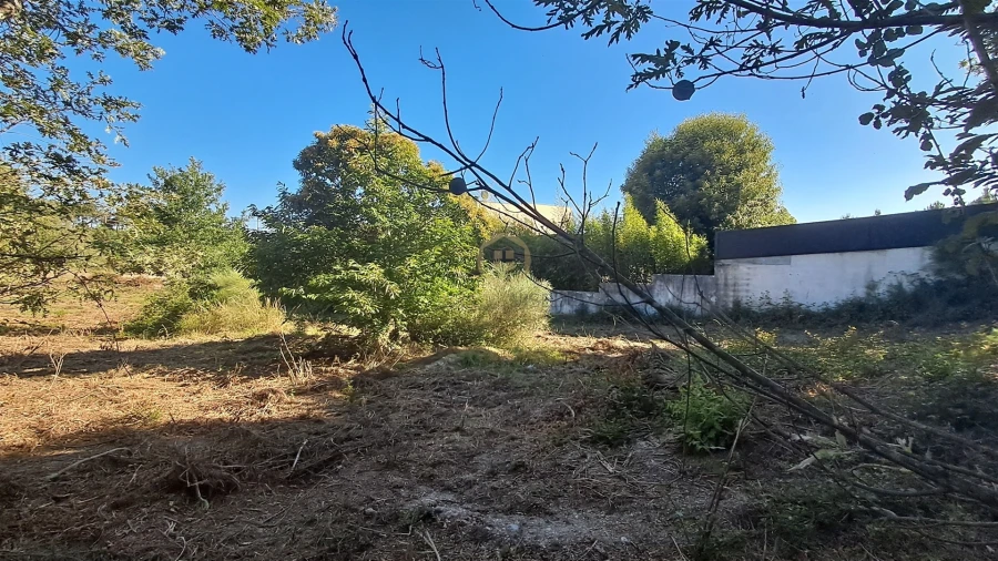 Terreno para Venda em Vila Nova de Paiva, Alhais e Fráguas Foto 13