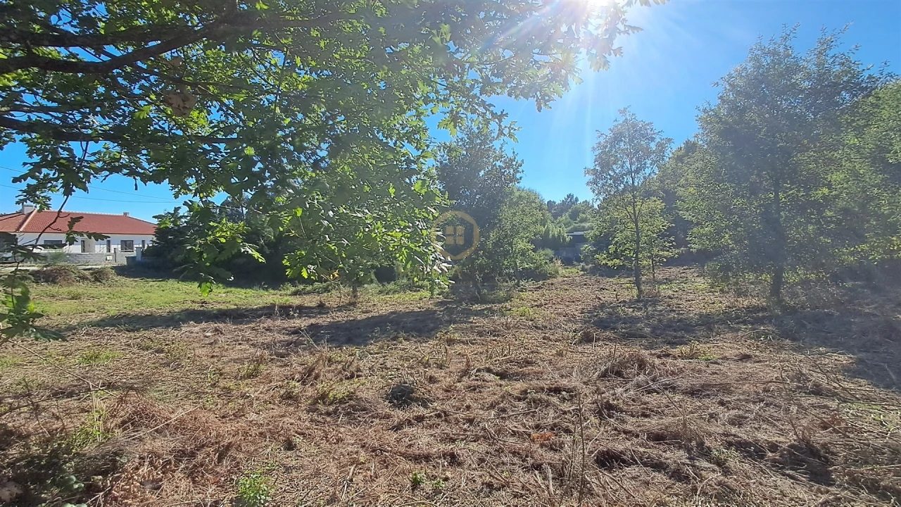 Terreno para Venda em Vila Nova de Paiva, Alhais e Fráguas Foto 14