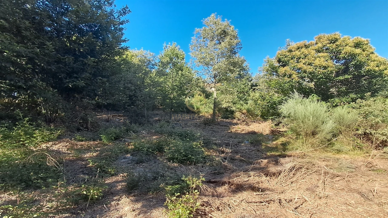 Terreno para Venda em Vila Nova de Paiva, Alhais e Fráguas Foto 22