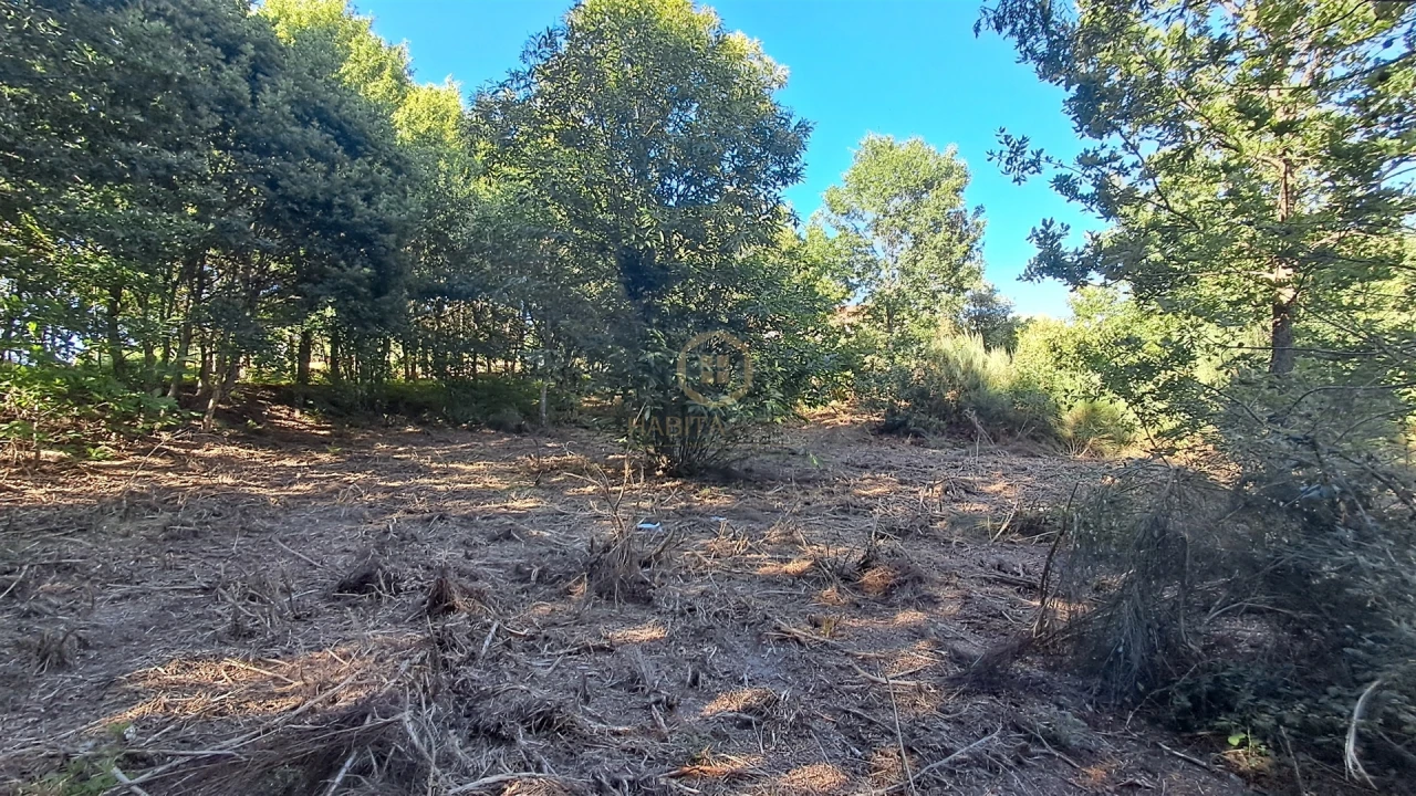 Terreno para Venda em Vila Nova de Paiva, Alhais e Fráguas Foto 18