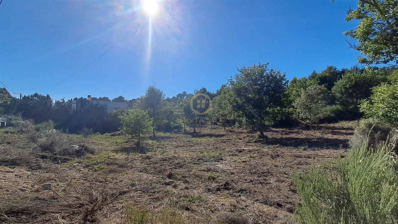Terreno para Venda em Vila Nova de Paiva, Alhais e Fráguas Foto 20