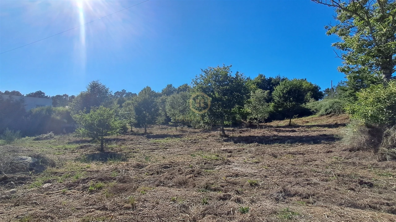 Terreno para Venda em Vila Nova de Paiva, Alhais e Fráguas Foto 11