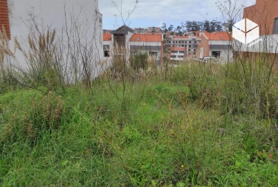 Terreno para Venda em Tavarede