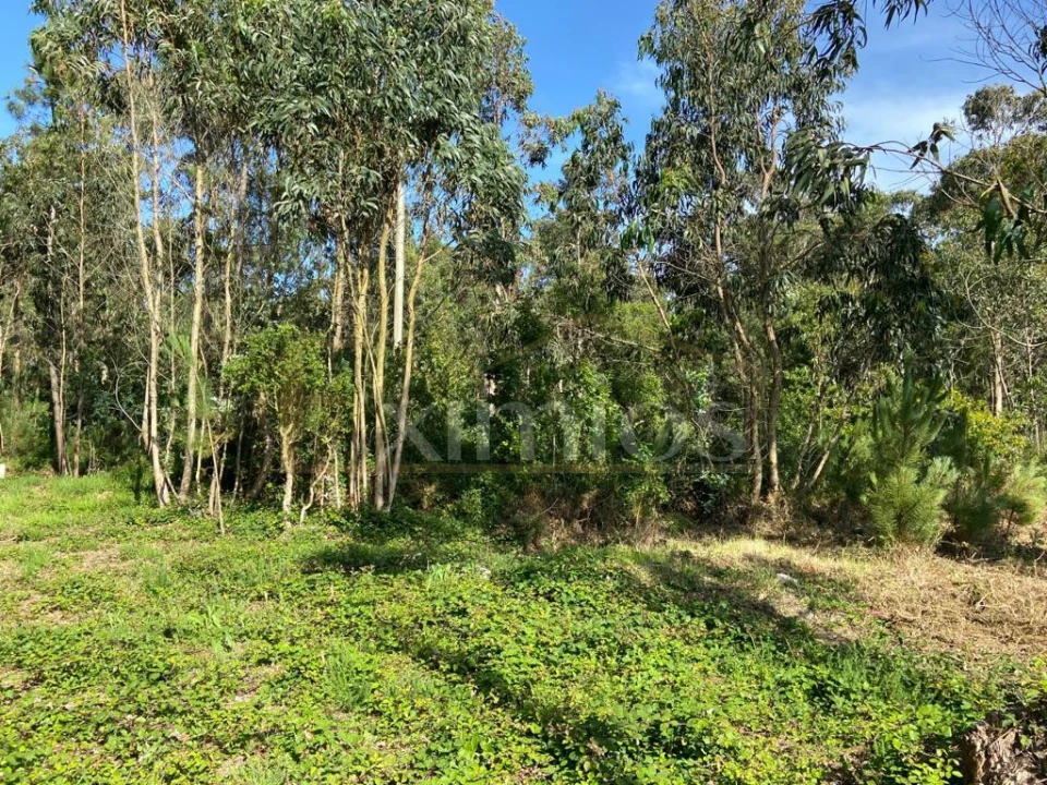 Terreno para Venda em Labruge Foto 3
