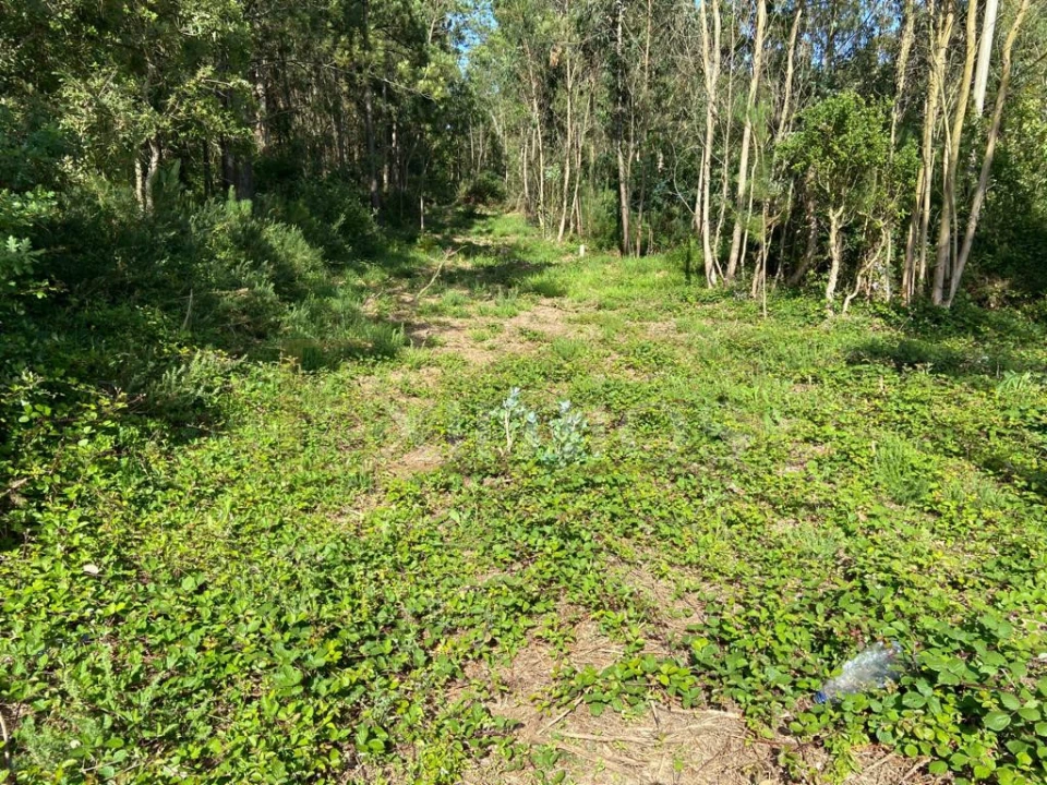 Terreno para Venda em Labruge Foto 4