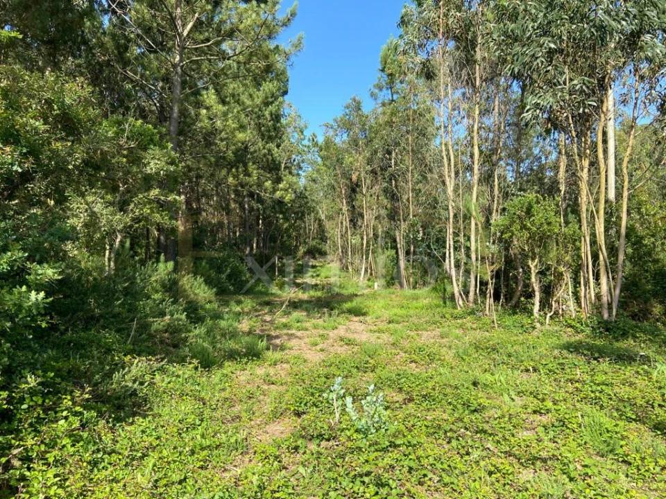 Terreno para Venda em Labruge Foto 2
