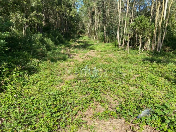 Terreno para Venda em Labruge Foto 4