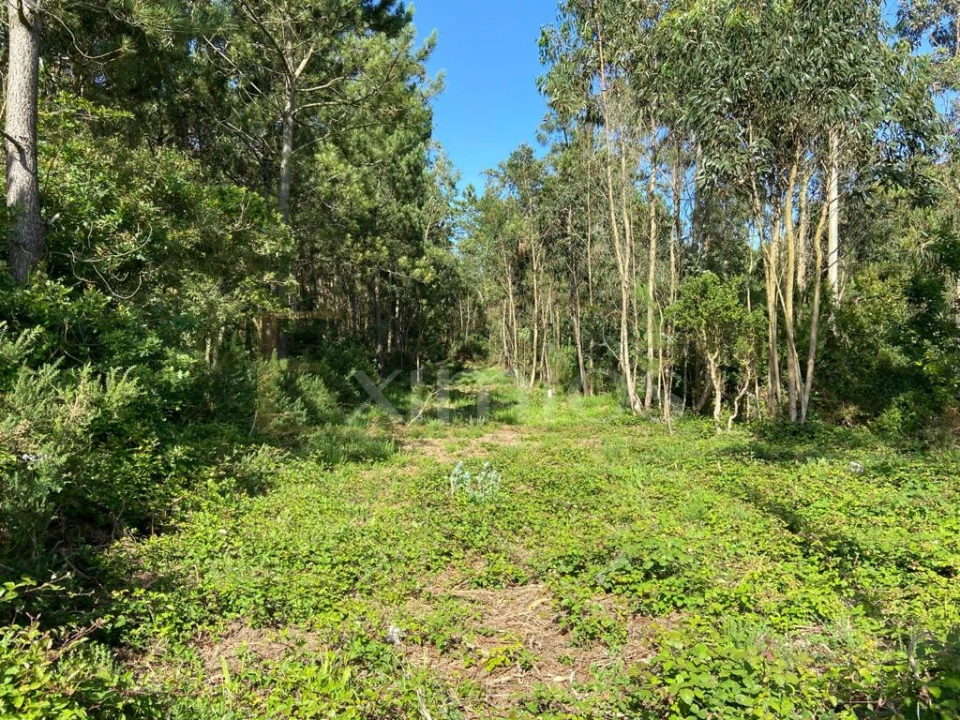 Terreno para Venda em Labruge Foto 1