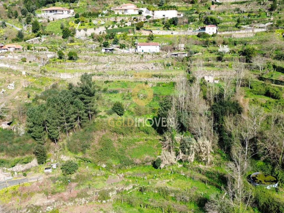 Terreno Agricola ou Rústico para Venda em Souselo Foto 9