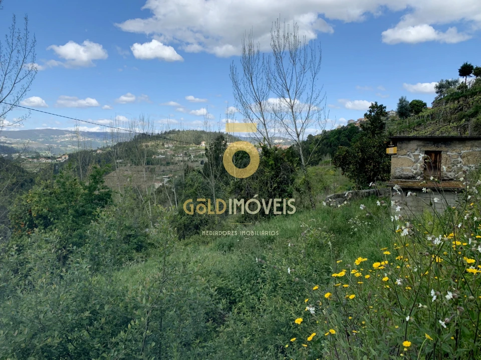 Terreno Agricola ou Rústico para Venda em Souselo Foto 4