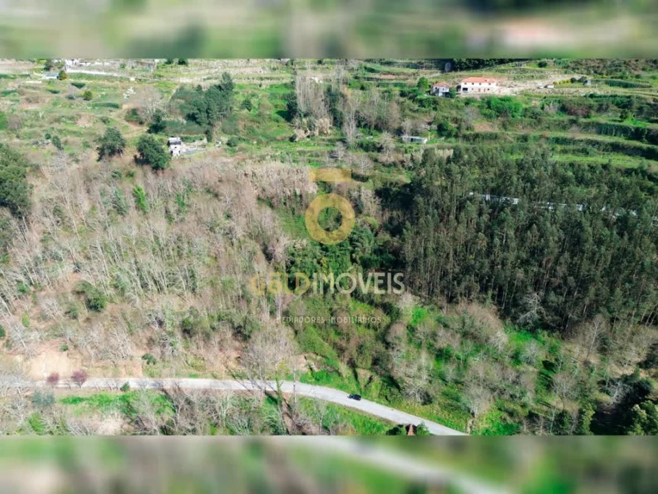 Terreno Agricola ou Rústico para Venda em Souselo Foto 1