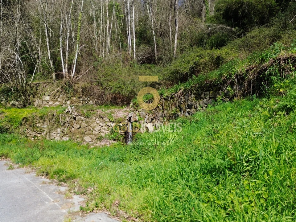 Terreno Agricola ou Rústico para Venda em Souselo Foto 5