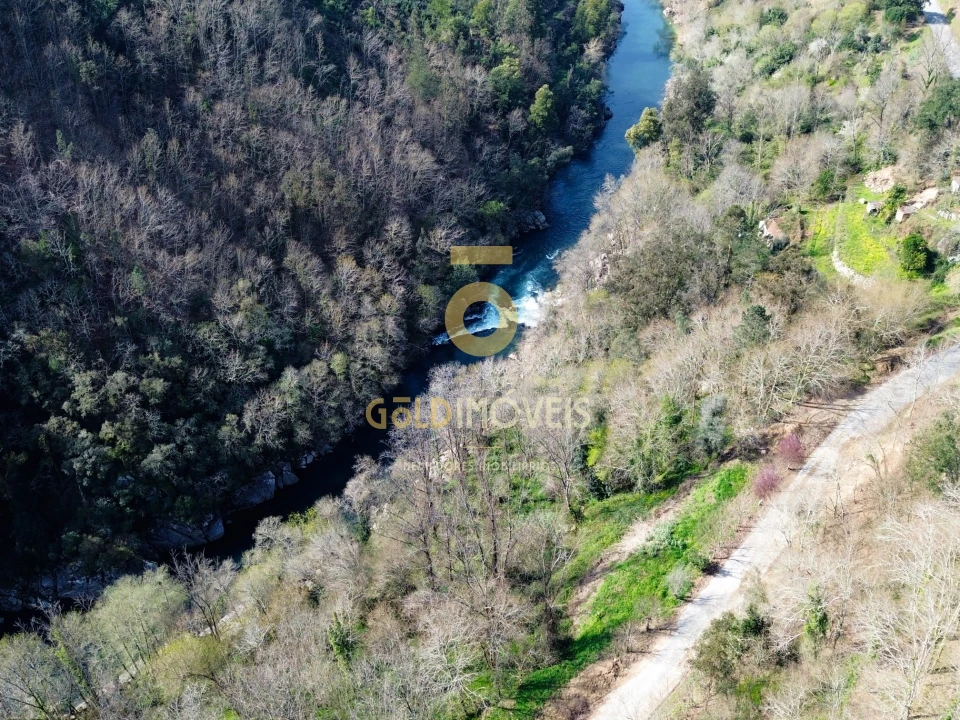 Terreno Agricola ou Rústico para Venda em Souselo Foto 2