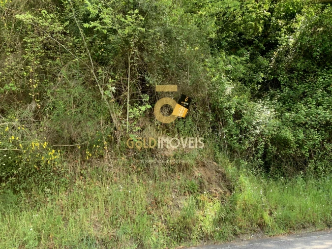 Terreno Agricola ou Rústico para Venda em Souselo Foto 8