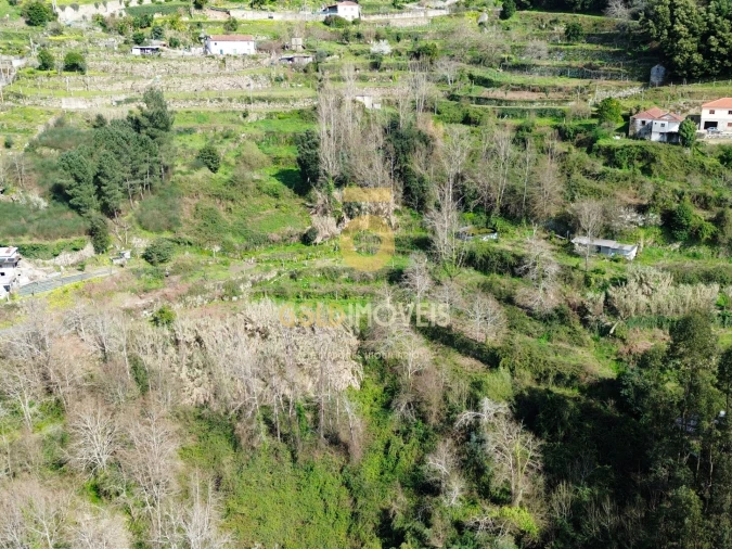 Terreno Agricola ou Rústico para Venda em Souselo Foto 3