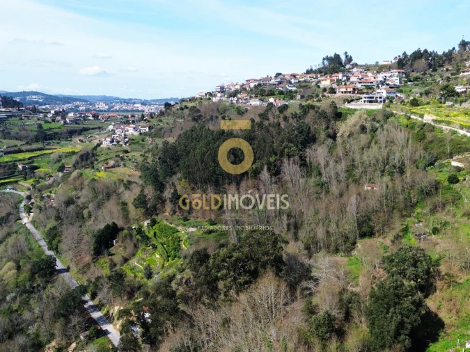 Terreno Agricola ou Rústico para Venda em Souselo Foto 10