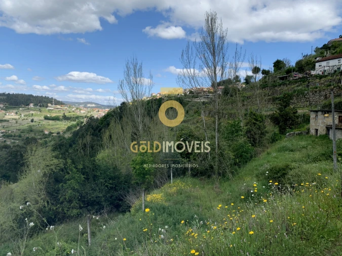 Terreno Agricola ou Rústico para Venda em Souselo Foto 5